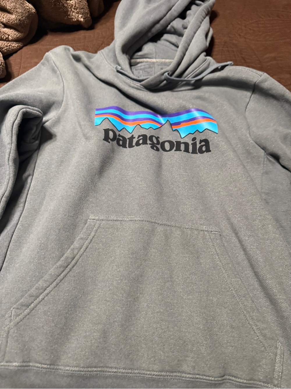 Patagonia Hoodie in Heather Gray with Blue and Purple Logo Stripes